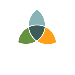 TrueZeal Web & Brand